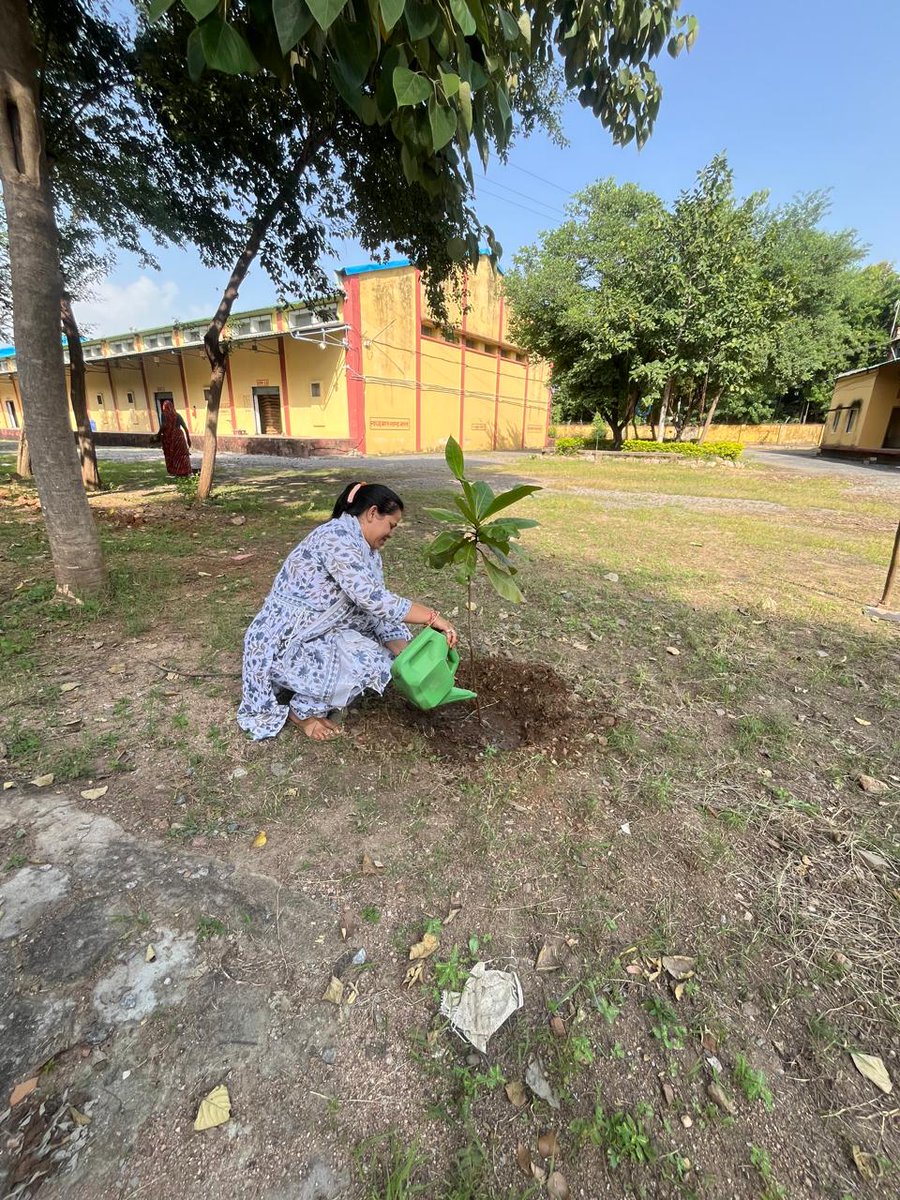 FciGwalimp's tweet photo. "स्वच्छता ही सेवा 2026" कार्यक्रम के अंतर्गत FCI मंडल कार्यालय ग्वालियर द्वारा "एक दिन, एक घंटा, एक साथ" पहल के तहत श्रमदान का आयोजन किया गया एवं "एक पेड़ माँ के नाम" वृक्षारोपण अभियान चलाया गया #SwachhBharat #SwachhataHiSeva2026 https://t.co/a1G7OLLcQn