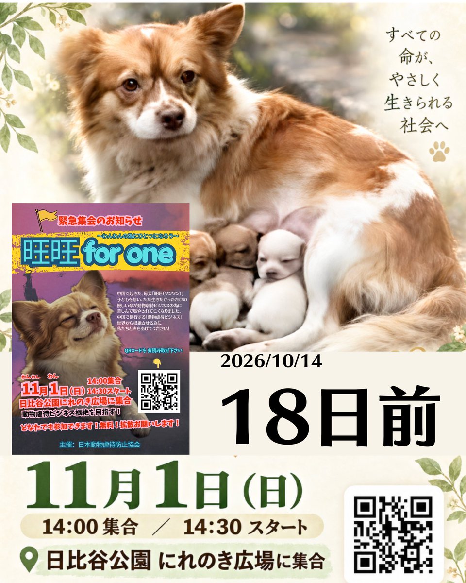 akikofujimura's tweet photo. 【18日前】10月14日
旺旺を風化させてはいけない。WangWangforone 11月1日ワンワンのために一つになろう。デモまであと18日。言葉を持たない動物たちの代わりとなり、私たちが声を大にして叫びます。
👇
https://t.co/aDtaWDkqdd
#JusticeForWangWang
#WangWangforone
#旺旺と子供たちを忘れない https://t.co/7EXJop9Pwe