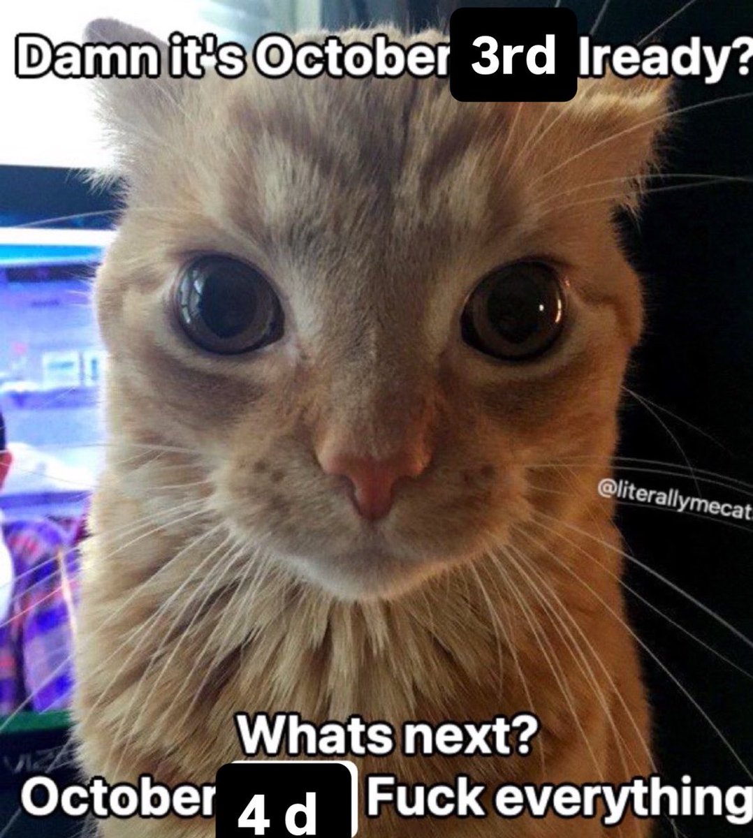 literallymecats's tweet photo. https://t.co/DPD19gFXJA