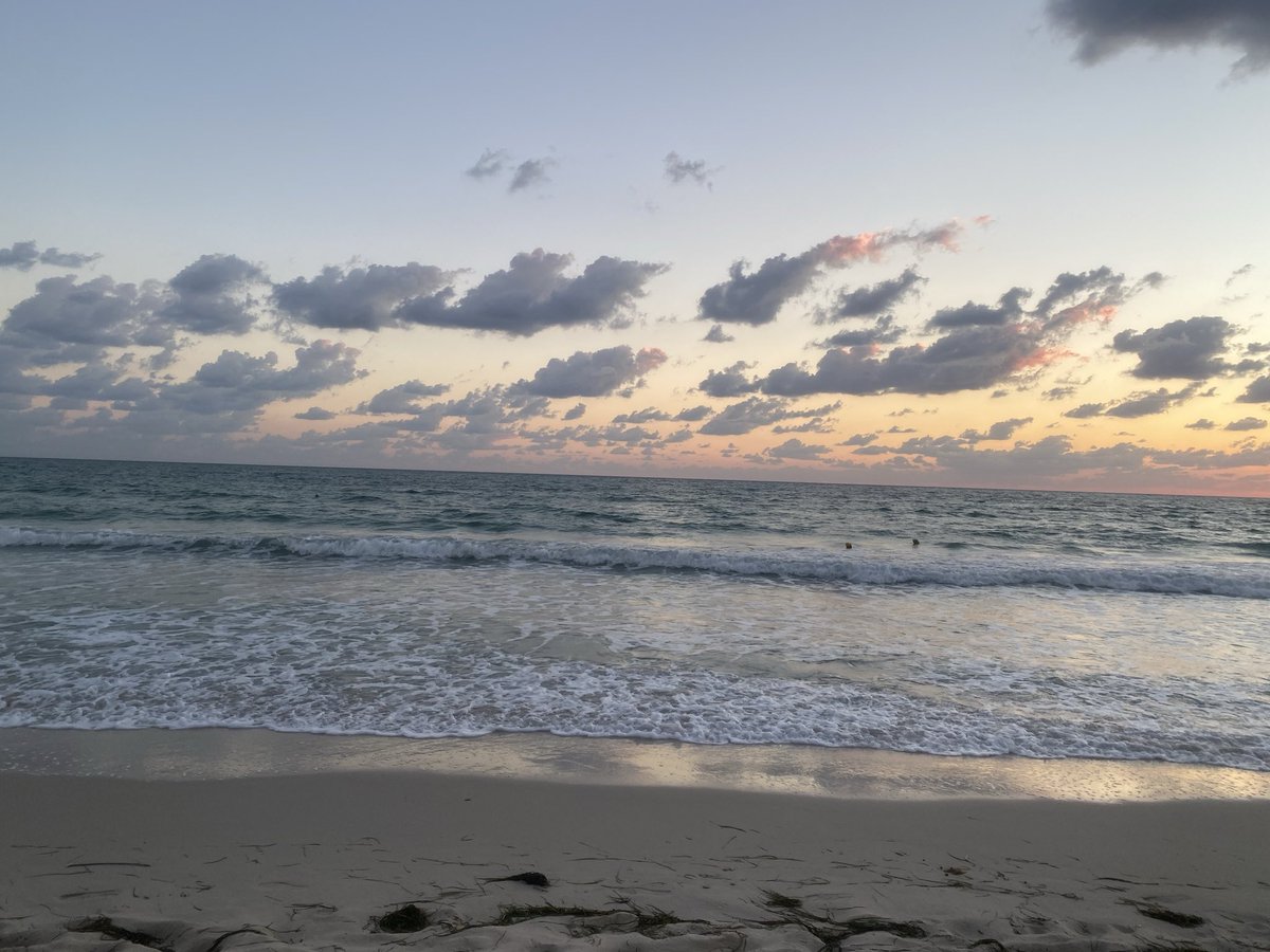 Oussama_Chourou's tweet photo. Morning 🌞 run 🏃‍♂️:
Running Keeper 100 Days : Day 84/100
#AmoCorrere #RunBlue 
#RunIsland #RunToDeath
#RunningClubMidoun https://t.co/DxrON3tkws