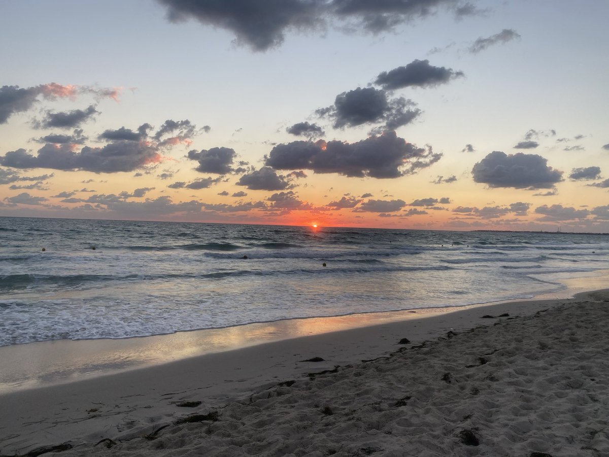Oussama_Chourou's tweet photo. Morning 🌞 run 🏃‍♂️:
Running Keeper 100 Days : Day 84/100
#AmoCorrere #RunBlue 
#RunIsland #RunToDeath
#RunningClubMidoun https://t.co/DxrON3tkws