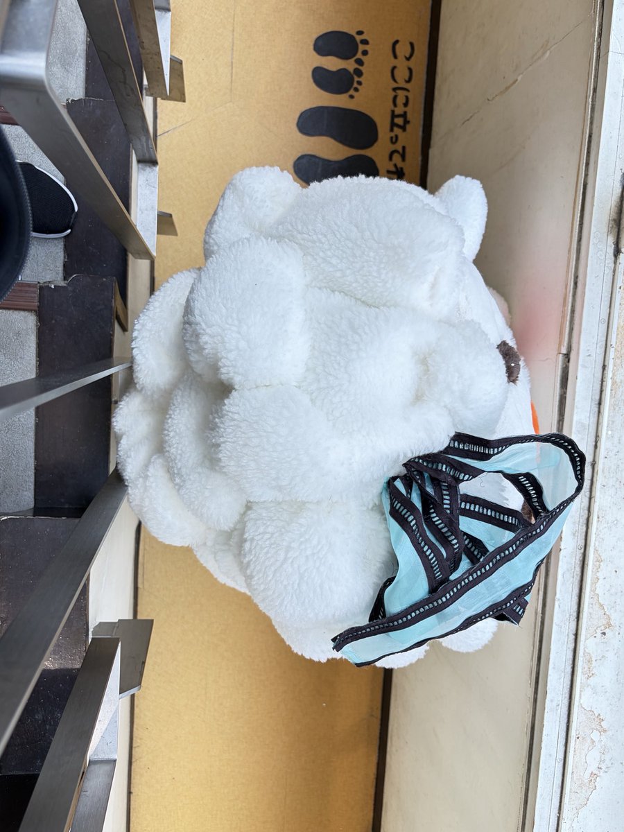 UJjere's tweet photo. #相鉄ムービル
 #ムービル
 #ムビィ
気が付けば2時間程滞在。様々な角度のムビィさんを撮影しながら命の息吹を強く感じました。年齢や性別、好きなジャンルの垣根を超えたイベントが明日までなのが実に勿体ない！
皆さん相鉄ムービルにおいで～🍿
後ほどこのツイートに幾つか繋げます https://t.co/UmyTOIPn3J