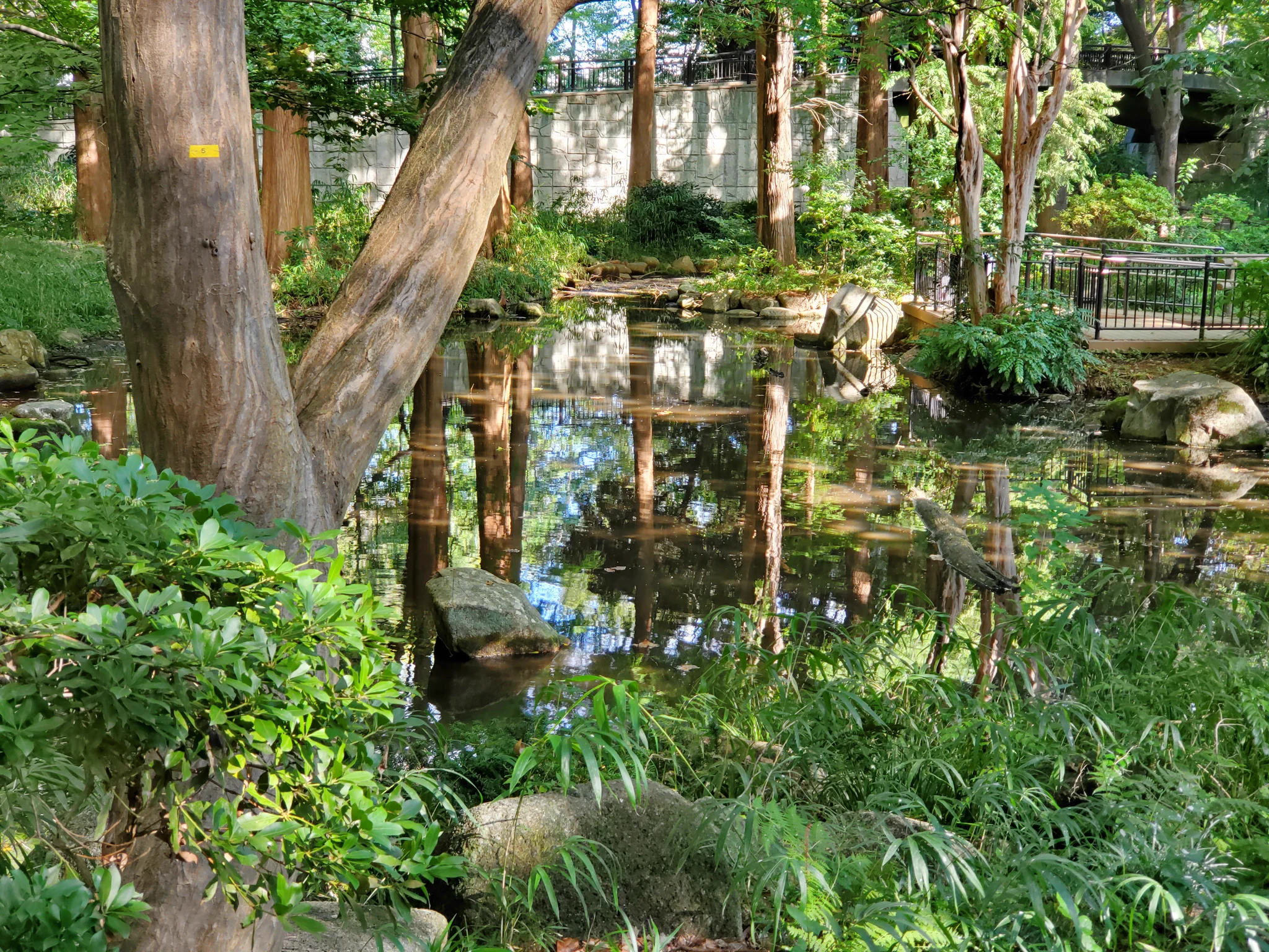 林 試 の 森 公園