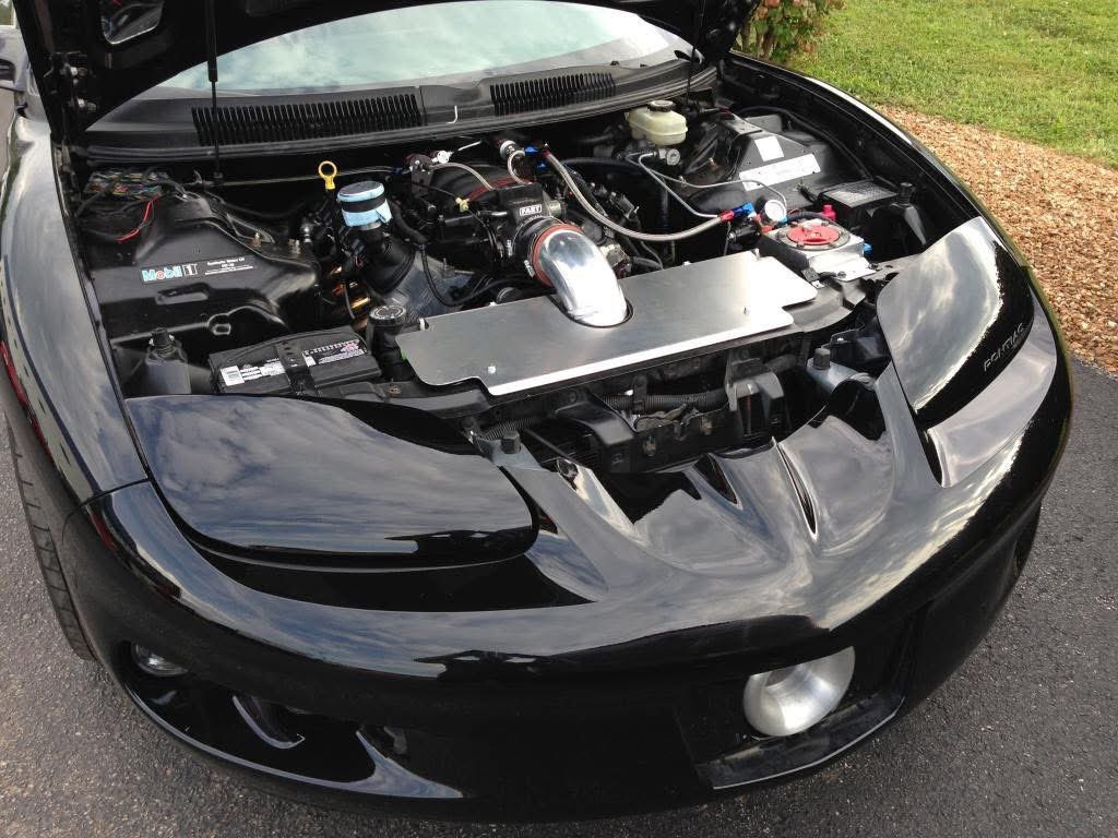 FBODYNATION's tweet photo. Let’s see under your hood! #FBody https://t.co/74SMz6kj0h