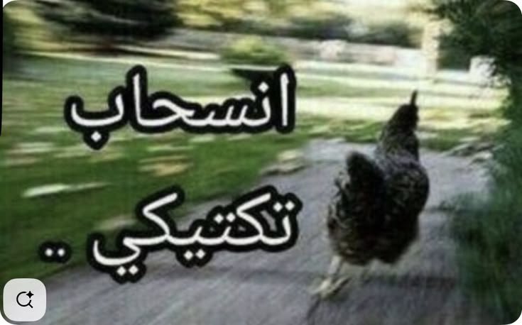 Rizon147's tweet photo. #سبيس ههههههههههههههههههههههههههههههههههههههههههههههههههههههههههههههه https://t.co/lj8tsyxNFQ