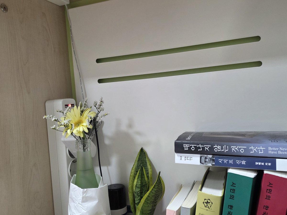cyan_in_loop's tweet photo. #트친소 #일상계 #퀴어 
대학원 다니는 20대 중반 퀴어 여성과 친구가 되어주세요. 인터넷에서라도 인싸가 되고 싶어요. 책 읽기와 사진 찍기 좋아하고 일상 얘기 주로 하고 공부 얘기 가끔씩 해요. 지뢰는 섹트 말고 없어요. 다들 좋은 하루 보내세요:-) https://t.co/ciIZLbLLMG