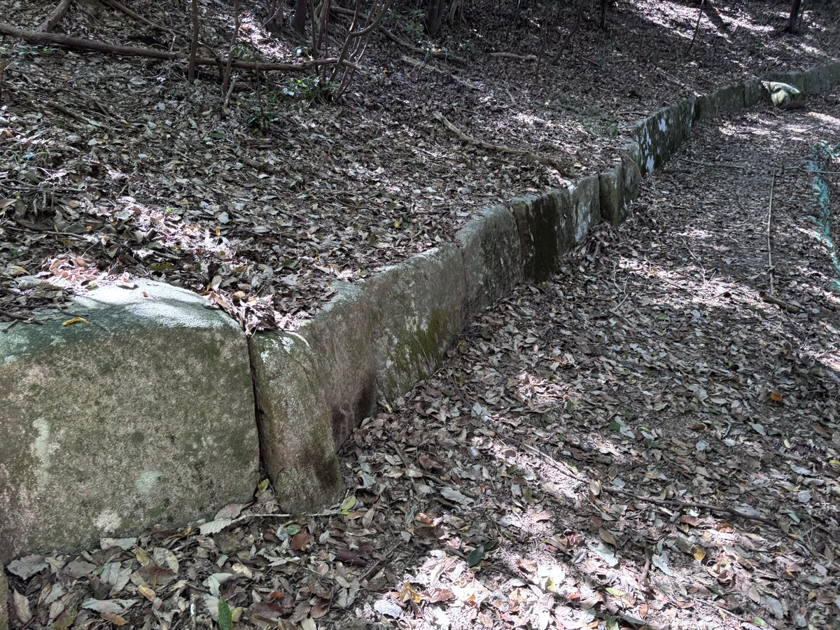 SiloVine's tweet photo. 筑前・鹿毛馬神籠石なう

古代山城の一つで国の史跡。
谷地を中心に周囲の山を版築土塁と列石で取り囲んでいる。特に版築土塁外側の下部に並ぶ列石はまるで近代の土留めのようで、距離もかなり長いのが特徴。

暗渠と水門の石積、版築土塁
列石群 https://t.co/Kco2wOEp72