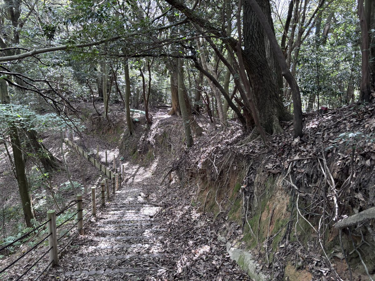 SiloVine's tweet photo. 筑前・鹿毛馬神籠石なう

古代山城の一つで国の史跡。
谷地を中心に周囲の山を版築土塁と列石で取り囲んでいる。特に版築土塁外側の下部に並ぶ列石はまるで近代の土留めのようで、距離もかなり長いのが特徴。

暗渠と水門の石積、版築土塁
列石群 https://t.co/Kco2wOEp72