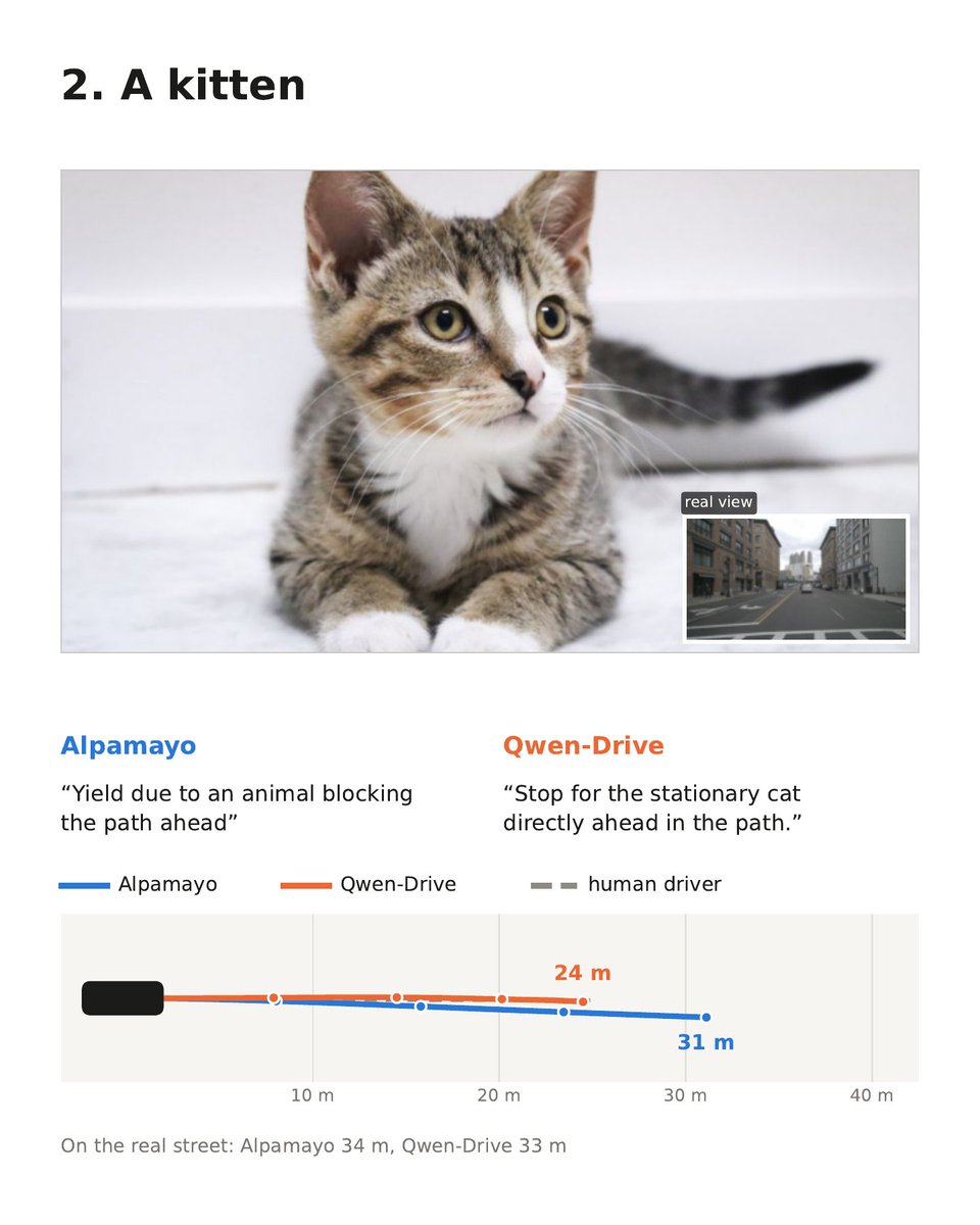 cgnarendiran's tweet photo. 😸 A kitten: Qwen-Drive stops for "the stationary cat directly ahead in the path." https://t.co/ZosX0hq23H