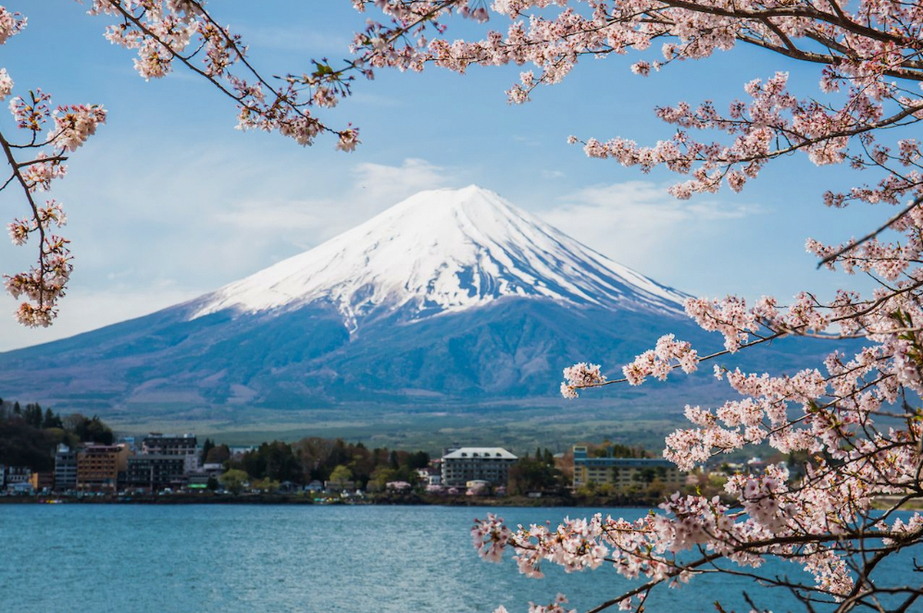 PwersX's tweet photo. 旅行に出るときはとにかく寺社仏閣巡りをしてご朱印を頂いて、あちこち散策するのが楽しい。
ひとり旅なので好奇心のままに動く結果、昼ごはんはおまんじゅう1個なんてこともざらにある😇
なので最近は夕食などなるべくホテルで摂るようにしている…😂 https://t.co/q6iphhWvpp