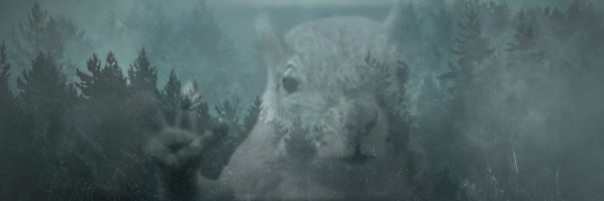 Lil0_o_0's tweet photo. Existem 2 tipos de pessoas fazendo banner... https://t.co/dztndwLd6Y