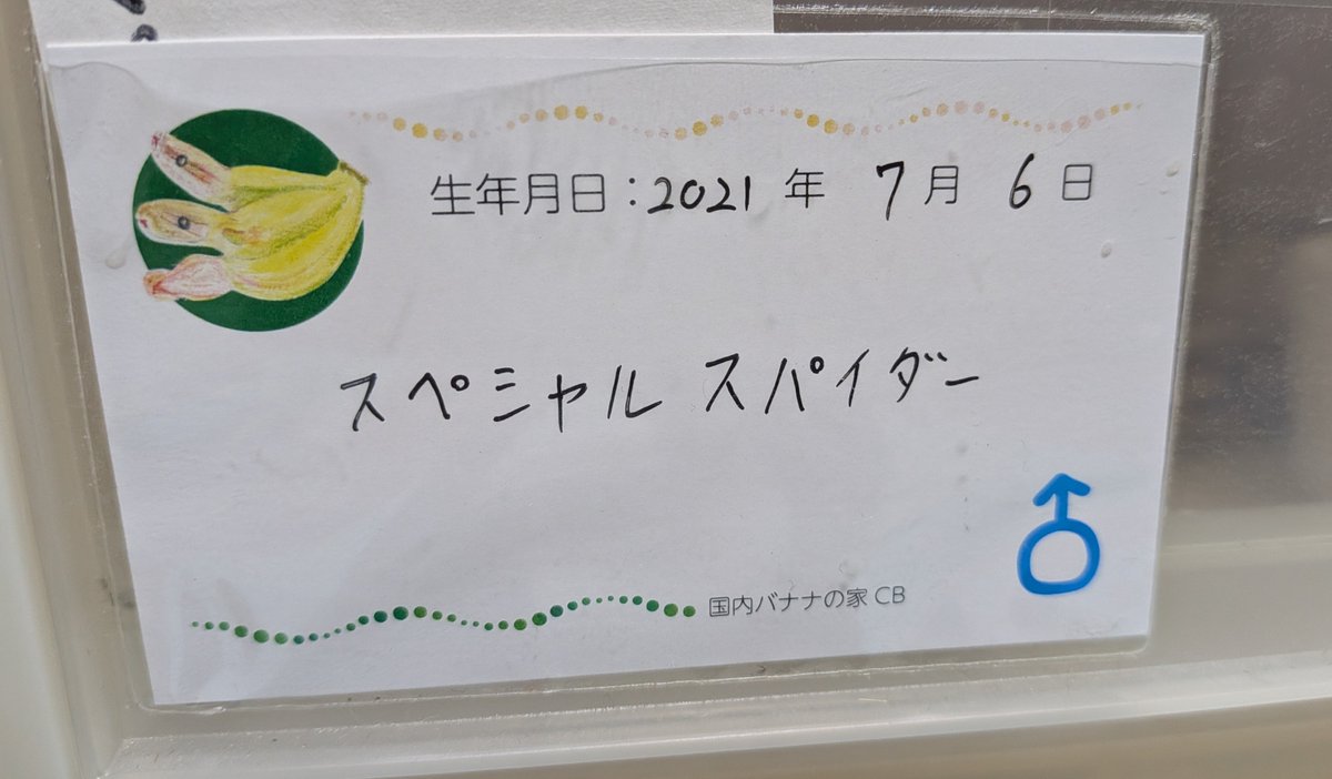 BallPython1207 tweet picture