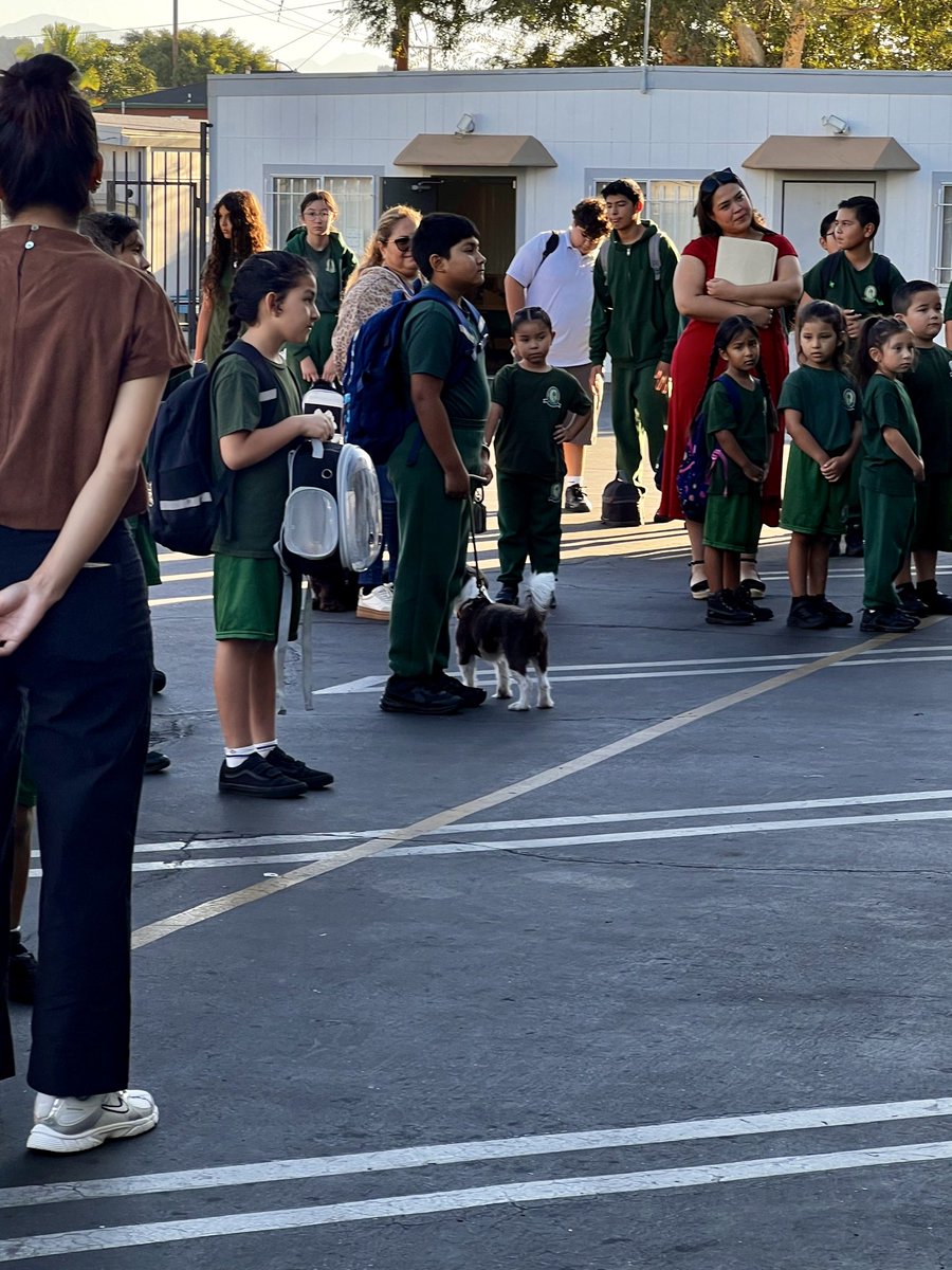 OLGLionsLA's tweet photo. Today, OLG students and parents brought their beloved pets for a special Blessing of the Animals during morning prayer! 🐾🙏 Father Enrique Huerta blessed the animals in honor of St. Francis of Assisi ahead of his feast day tomorrow. 💚💛 https://t.co/ZjPheSMXr5