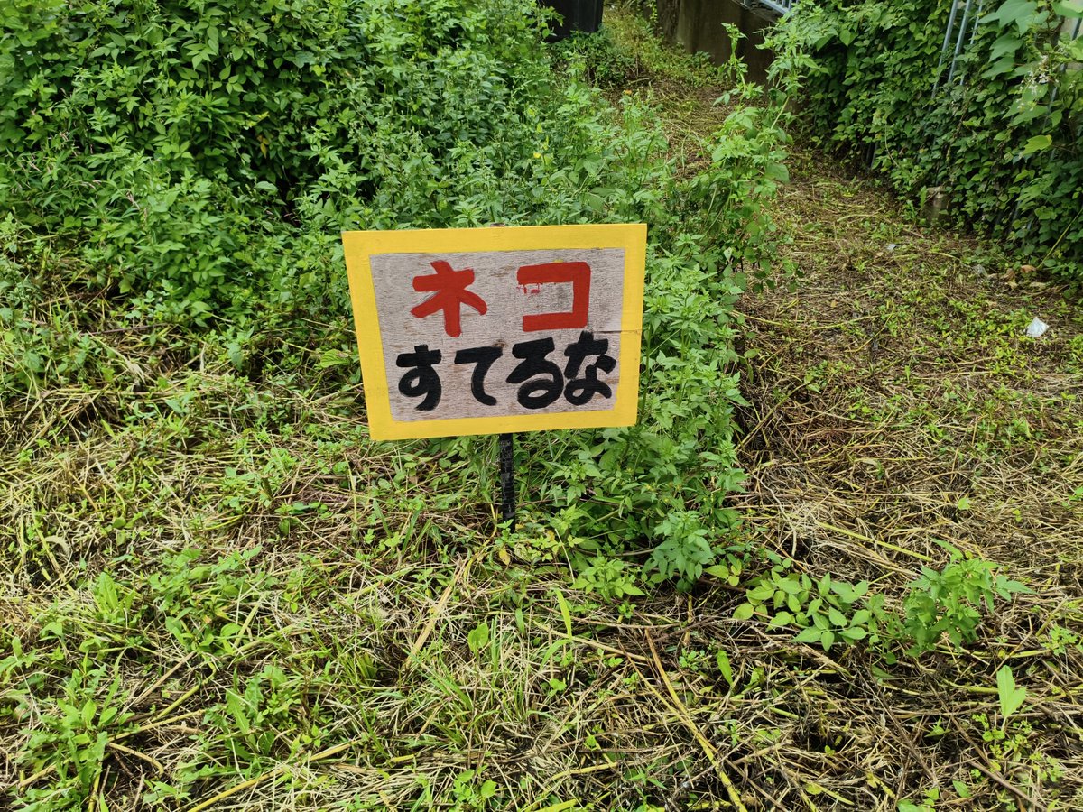 LongGateSnow's tweet photo. ネコすてるな。 https://t.co/e3Sq4eOEbt