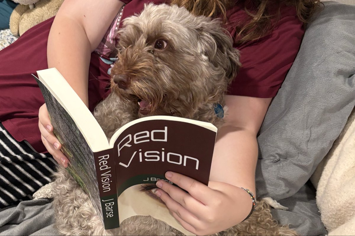 JBarse47's tweet photo. #WriterLife #writerscommunity 

“That just happened?!”

Red Vision by JBarse available on Amazon https://t.co/9EQOlmHvQ5