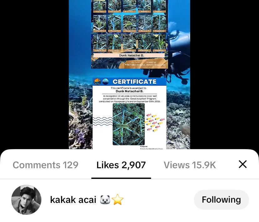 phuwitis's tweet photo. btw, he knows this project exists. he knows that the coral reef is his, and that it was made for him.

thank you so much, phi dunk. once again, happiest birthday! 🥹🍰🎁🎈 i hope that through every project your fans create for you, you'll always be reminded of just how loved and cherished you are. i hope you know that you deserve to be loved, appreciated, and cared for in the biggest and most beautiful ways.

no matter how big or small each project may be, i hope they remind you that there are so many people who are always rooting for you and wishing you nothing but the best. you are truly worthy of all the love and kindness this world has to offer. 🥹🐻‍❄️🖤