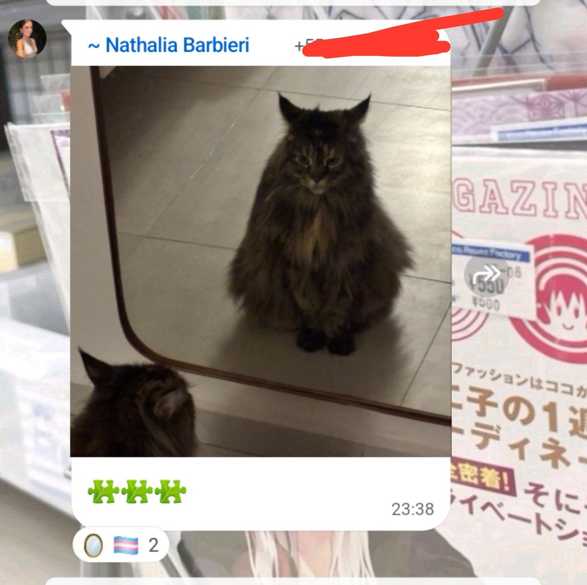 sheridanlefanyu's tweet photo. o emoji trans me fez rir alto https://t.co/OlJwwU2rDZ