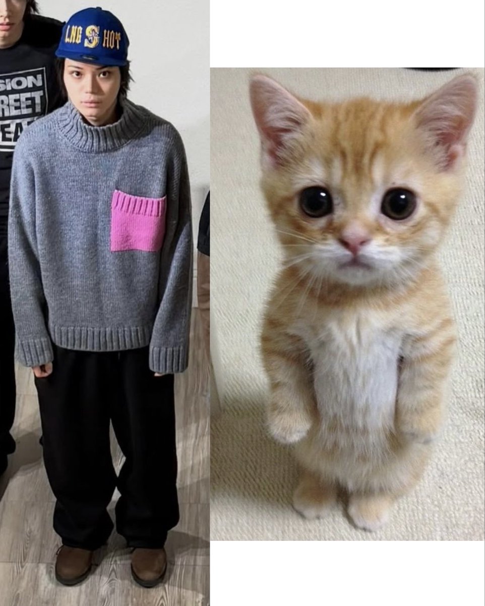 ohayouls's tweet photo. kucing imut https://t.co/QwRQxKOP6I