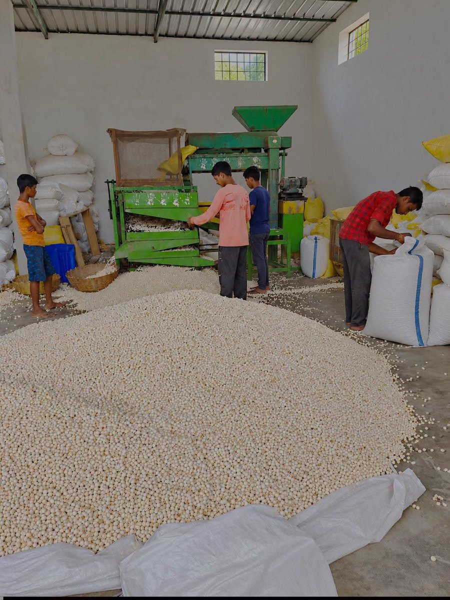 VigyanMon's tweet photo. From Mithila Fields to Urban Markets! 🌾🌰
Mithila Kisan Utpadak Sangathan Swavlambi Sahakari Samiti Ltd. #FPO from #Darbhanga #PMDhanDhaanyaKrishiYojana district #Bihar cultivates & processes Makhana adding value to local produce, stronger market linkages.
NITI
#DDKY https://t.co/v0EbnIpCE3