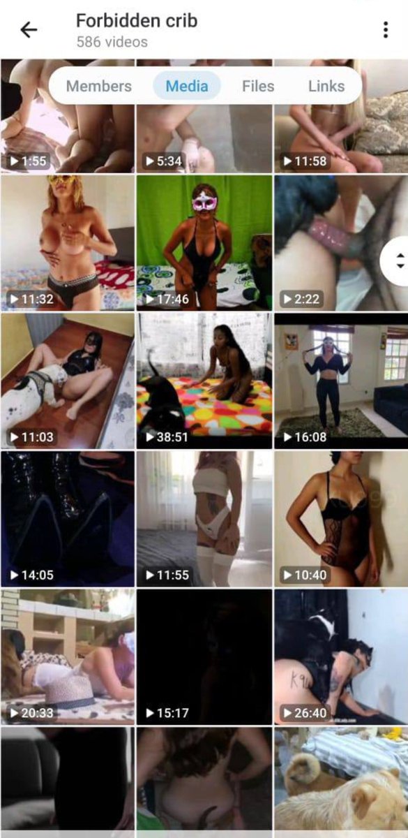 Knotty_JoanX's tweet photo. Trust me, we do the M🤤ST when we're together, tap on the link for mind blowing content 👇🏻👇🏻👇🏻

🔗 https://t.co/0s5WmNotJn ✨️

#cumslut #doggo #fetish #zoo #k9girl #dogwoman #Germany #slut #knotty #aoz #zoophilia
#animalporn #USA https://t.co/N30Ul2POqC