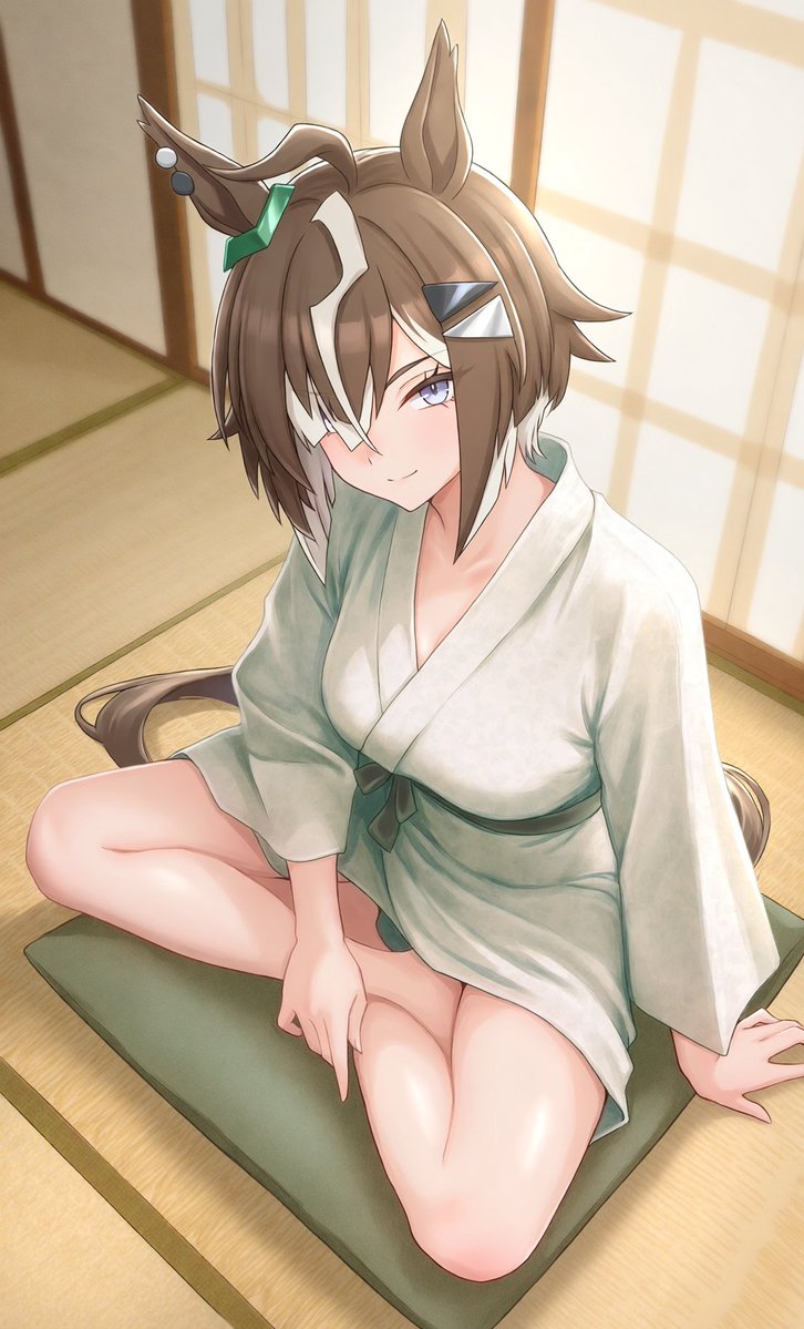 d_AI_n_2608's tweet photo. おそようございます🥱
いつもお世話になってるシミュレーターが不調で旅館くじできなかったので昨日ガチャで来たルーラーシップと旅館に来ました♞ https://t.co/gRqPQnOmRv