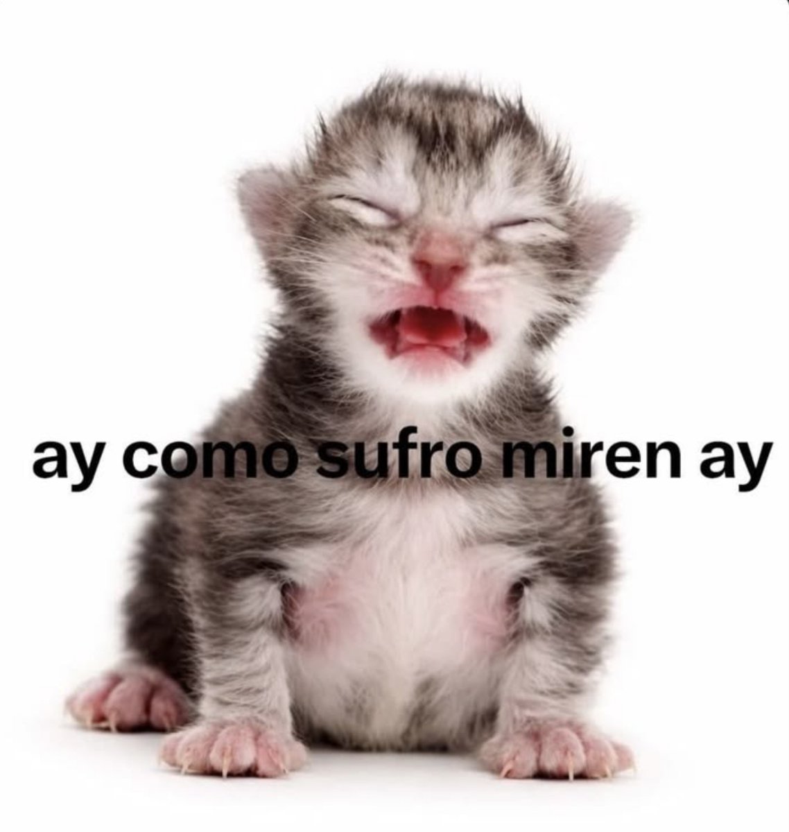 Natt__lm's tweet photo. así me siento al contarle mis problemas a alguien 🫪 https://t.co/B86FXSf3pu