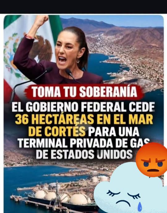 GARCIPAVON's tweet photo. ¿Y cómo está eso de la defensa de la ''soberanía nacional'' Claudita @Claudiashein ?  🤔