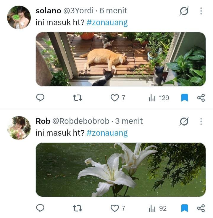dtuide tweet picture