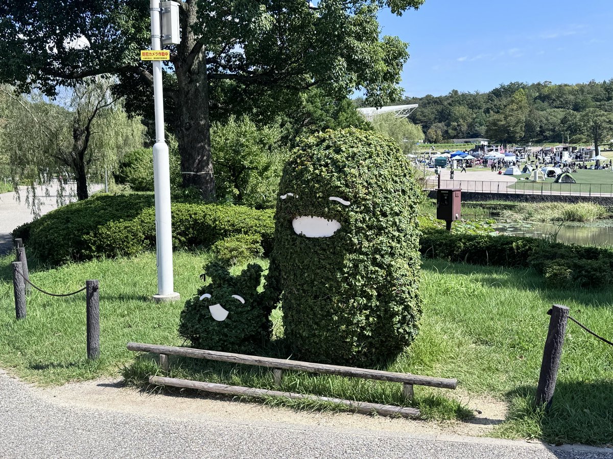 mop1256 tweet picture