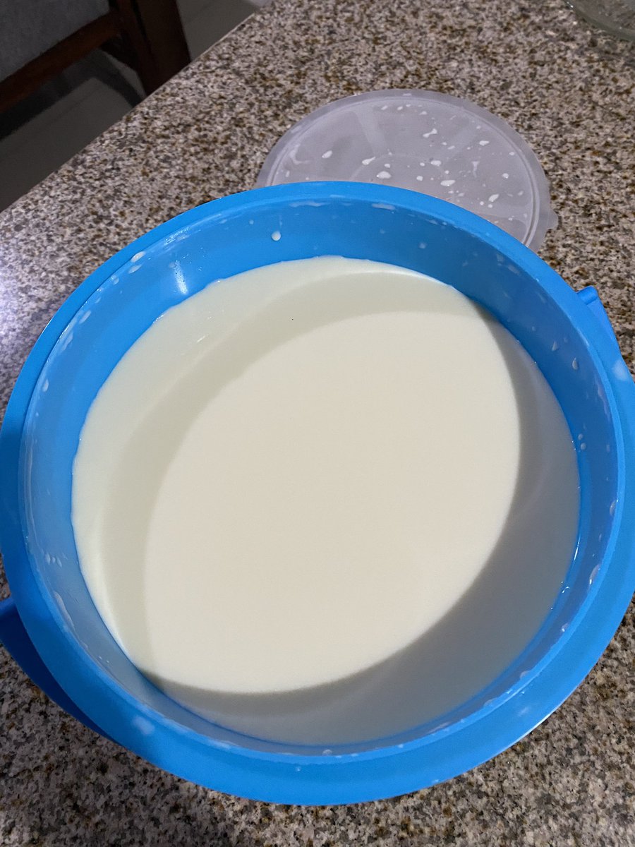 BrettMammel's tweet photo. Raw cow's milk
$20 mxn/liter delivered
Had to buy my own bucket though to collect it https://t.co/FHTAMa2eu3