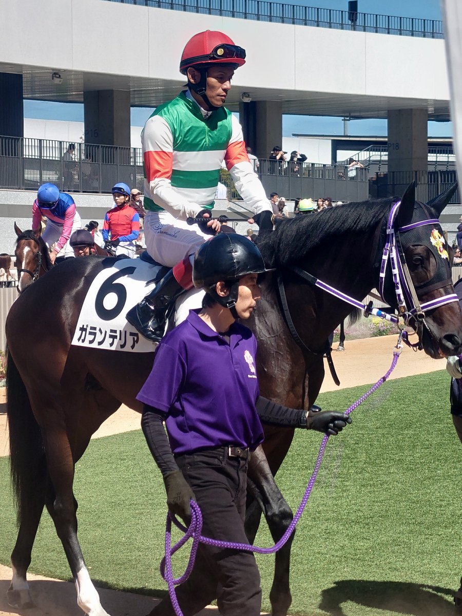 gawacchi2's tweet photo. 応援きたでー！
#京都競馬場パシャリ部 https://t.co/7wjKz5T3RL