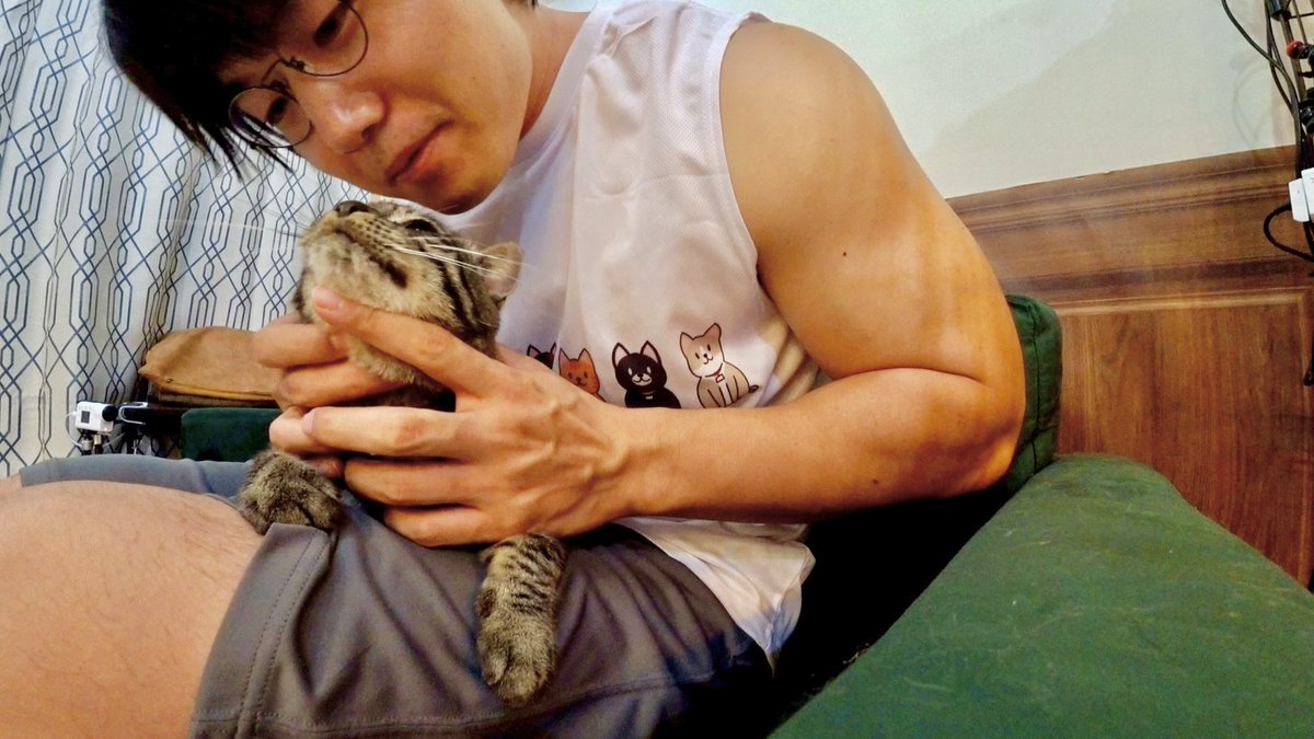 minnano_zoo_ntv's tweet photo. #嗚呼みんなの動物園　
ご視聴ありがとうございました‼️

青木マッチョさん預かる「リバー」と
愛猫「まさる」の仲が進展🤝

ティモンディ前田さん
保護猫預かりシリーズ第5弾スタート✨
推定4歳の元野良猫「サンゴ」🪸

さらにそんな前田さんに弟子入りした
猫友の緑川静香さんが預かることになった
くちヒゲが可愛すぎる「くわまん」🎺

ぜひ見守ってください🙇