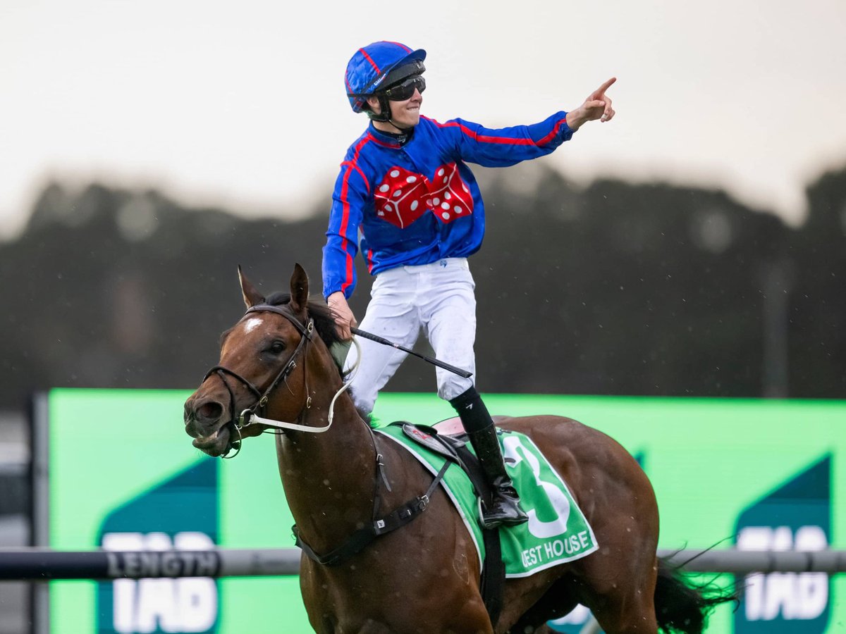 Luckybarrier's tweet photo. 🚨 BREAKING NEWS 🚨

Guest House has suffered a HAMSTRING TEAR, with trainer Mick Price confirming the injury.

The talented galloper is expected to be sidelined for up to three months as he begins his recovery. 💔

A huge blow for connections and fans, with Guest House now set for a lengthy spell on the sidelines.

More to come. 🏇