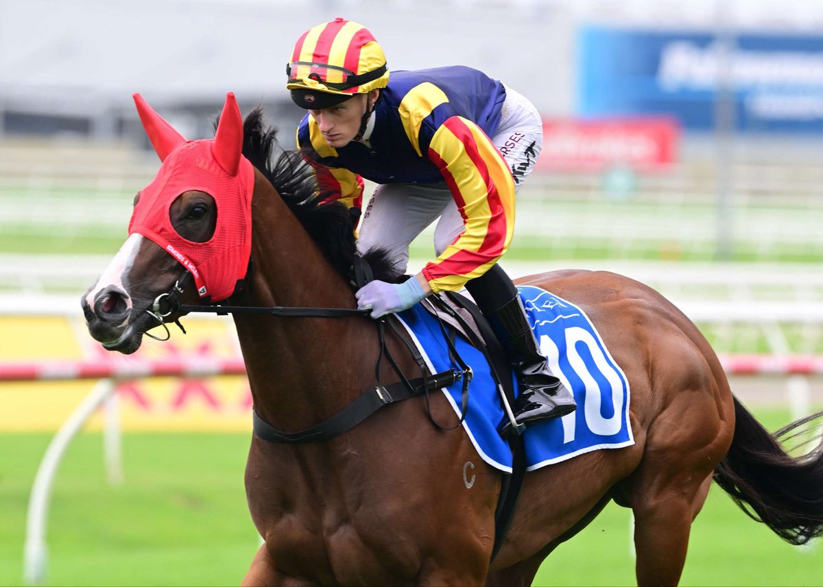 Luckybarrier's tweet photo. 🚨🚨 BREAKING NEWS 🚨🚨

SPICY MARTINI HAS BEEN ACCEPTED INTO THE EVEREST! 🏇🔥

The exciting sprinter has officially secured a spot in The Everest, with Inglis taking Spicy Martini for their slot.

A HUGE announcement as Spicy Martini gets the call up for Australia’s richest sprint race!

🏆 THE EVEREST
🟢 SPICY MARTINI INGLIS SLOT

More to come. 👀