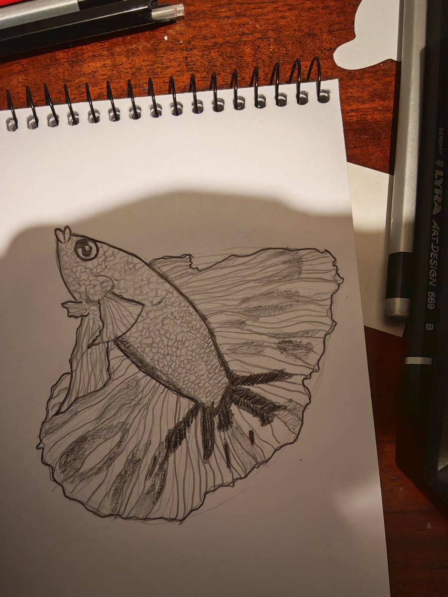 YerkoBulat's tweet photo. Betta
#TraditionalArt #GraphiteDrawing #PencilSketch #Sketchbook #LearningToDraw #DrawingPractice
#art #arte https://t.co/NJMwwbzOom