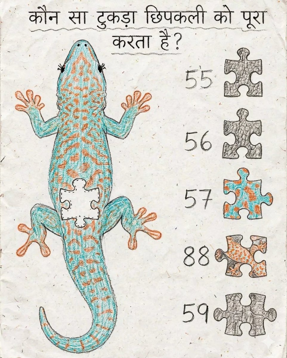 ReddyKriti55162's tweet photo. दिमाग की बत्ती जलाओ और बताओ, कौन सा टुकड़ा छिपकली को पूरा करेगा
 मुझे तो मिल गया, आप ट्राई करो https://t.co/I6jpxFJ1D3