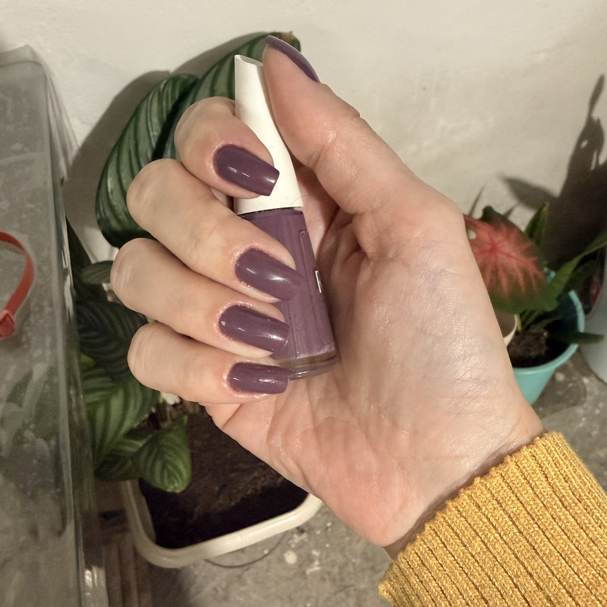 kaolliveira's tweet photo. Meta: não repetir esmalte até o final do ano
Dump de ✨setembro✨ https://t.co/Dt7eim5mNc