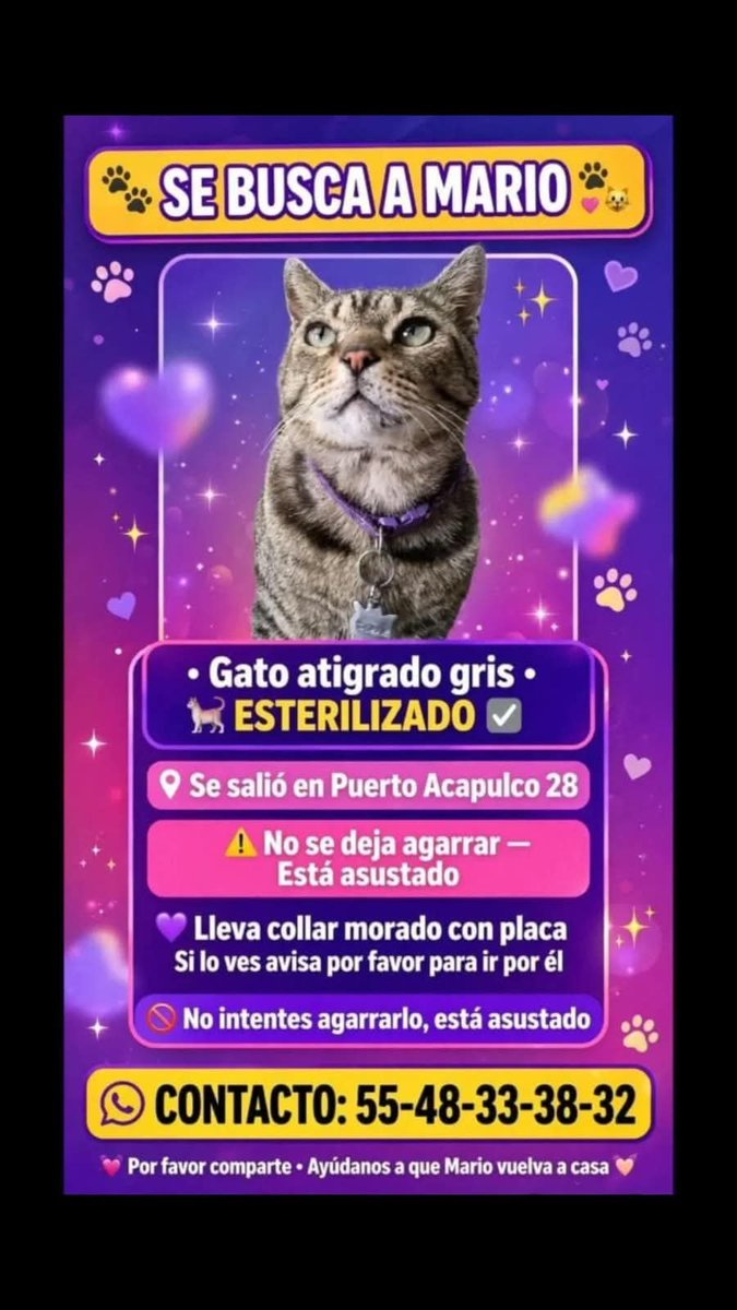 arca_satoshi's tweet photo. Michigente,  nos piden ayuda para compartir, nos ayudan porfa? Esto fue en la #GAM en #CDMX https://t.co/iFIdFwrssZ