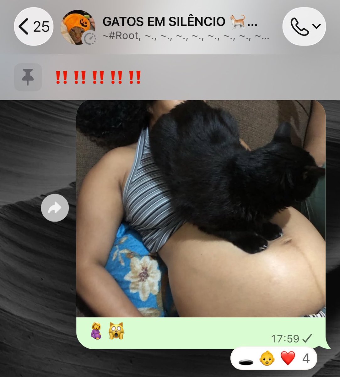 jimoian's tweet photo. falaro que meu gato vai afundar o bb🤬 https://t.co/5kWvI0adPD