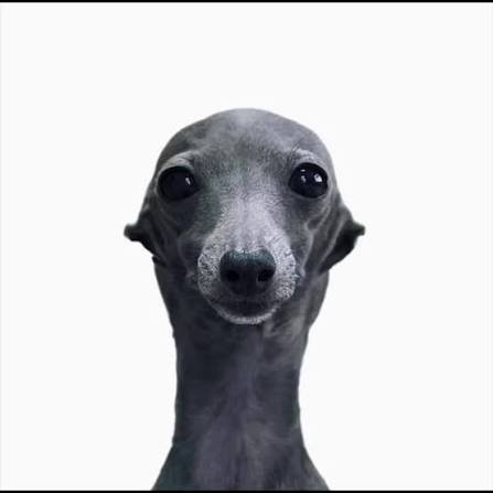 ToffDCoff's tweet photo. @tsumugied @Ripnium Son you're absolutely down horrendous https://t.co/3ql1NAcCpY