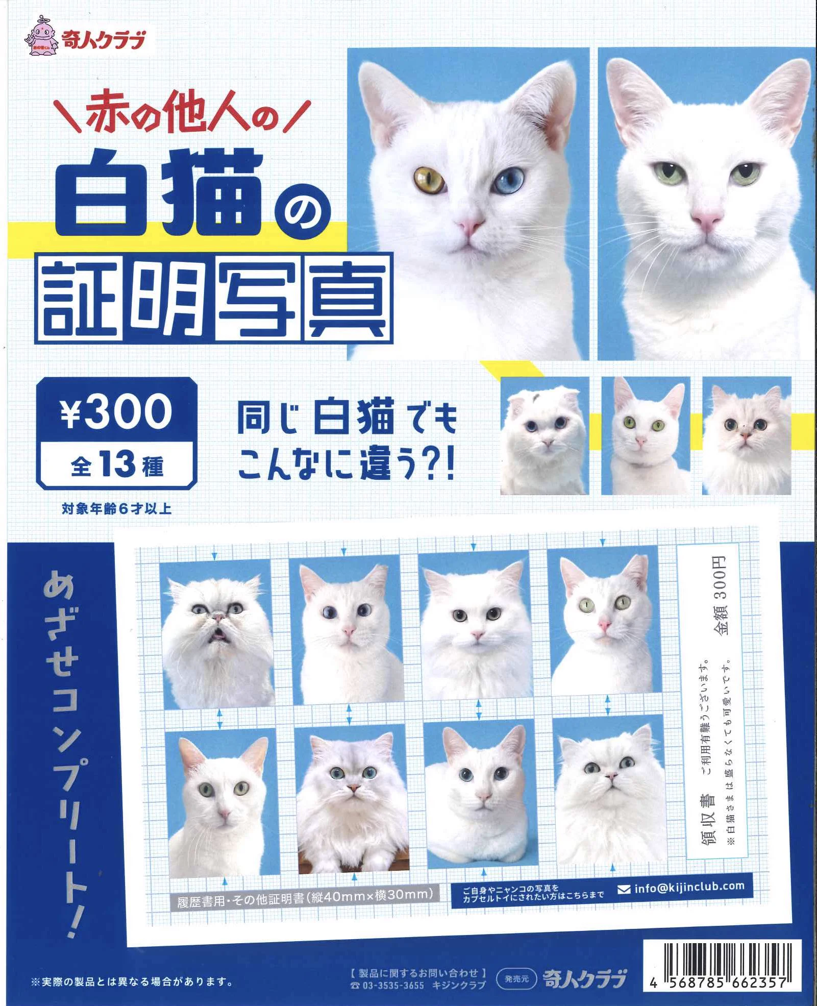 白猫様・専用 C-pla 名古屋矢場町店【公式】 on X: 