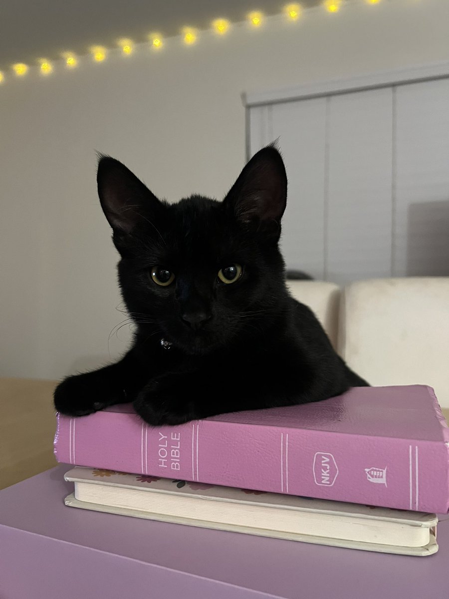 Esteefannyyy's tweet photo. Happy Birthday Buddy, I love you so so so much 🖤🐈‍⬛ https://t.co/3bqn0S8D23