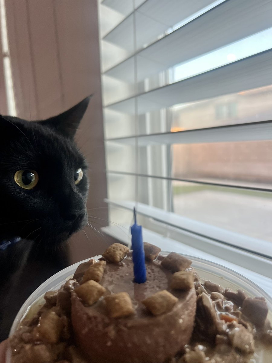 Esteefannyyy's tweet photo. Happy Birthday Buddy, I love you so so so much 🖤🐈‍⬛ https://t.co/3bqn0S8D23