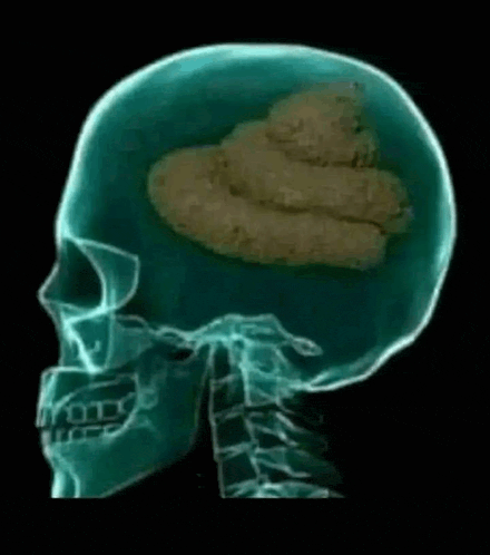 Mike77463289's tweet photo. #ShitForBrain an insightful look at the brain of a #LaborVoter https://t.co/HvY0Mdgyot