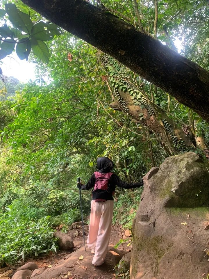 famelaita's tweet photo. kapan ya kesini lagi😩 https://t.co/16WerIBQdg