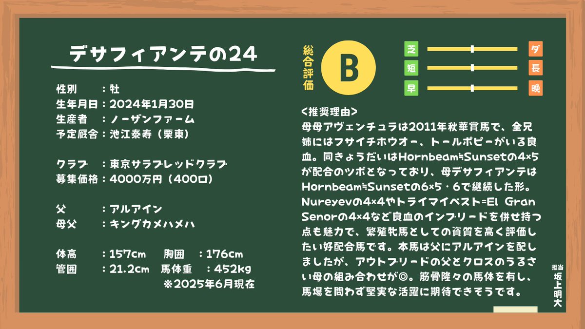 KeibaotakuAs's tweet photo. 一口推奨馬のレッドシーカーが新馬戦を快勝！出資者の皆様、陣営の皆様、おめでとうございます㊗️（※画像は募集時の見解です。） #レッドシーカー https://t.co/AVUj211rxd