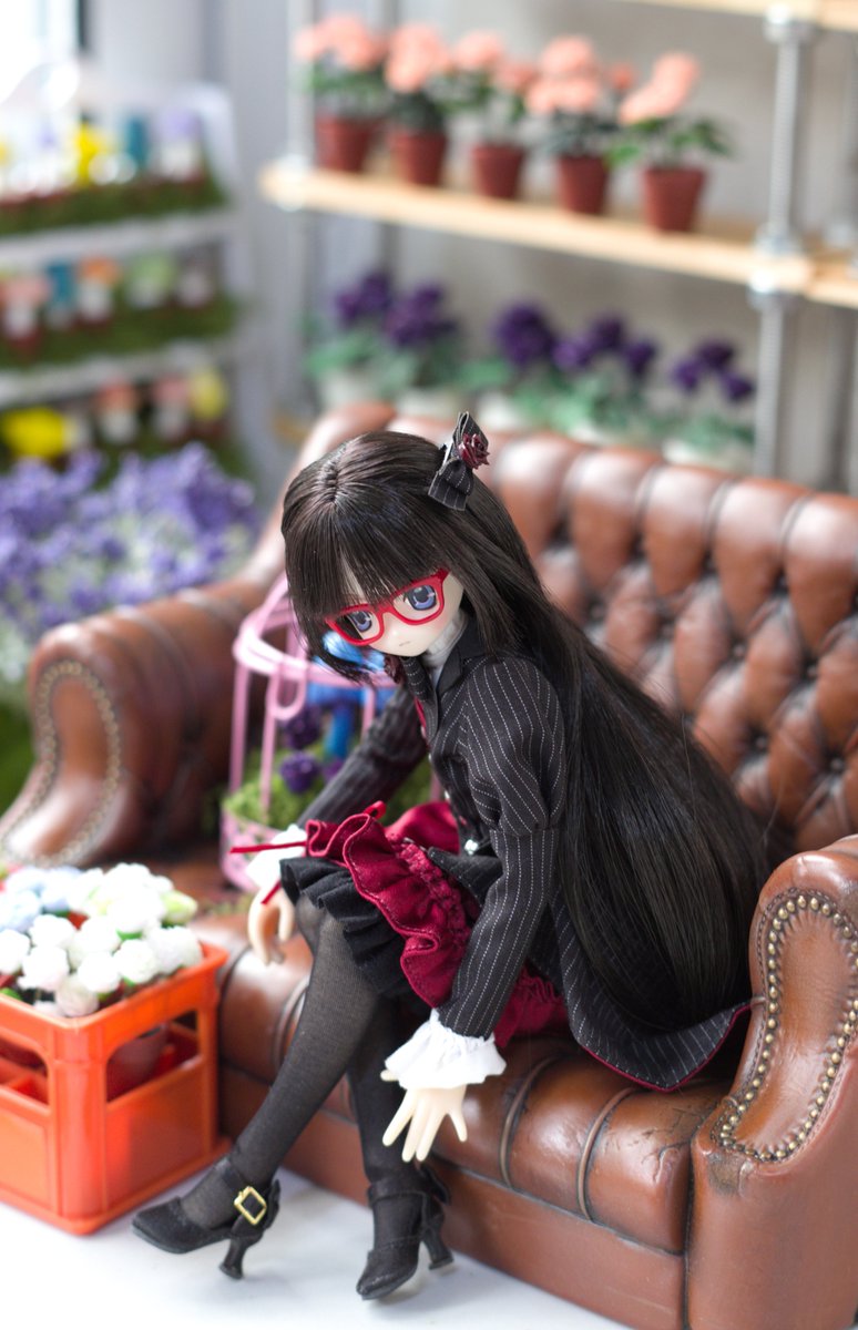 lijidw's tweet photo. #お昼休みに一枚だけドールの写真をはろう https://t.co/fWUr5salra