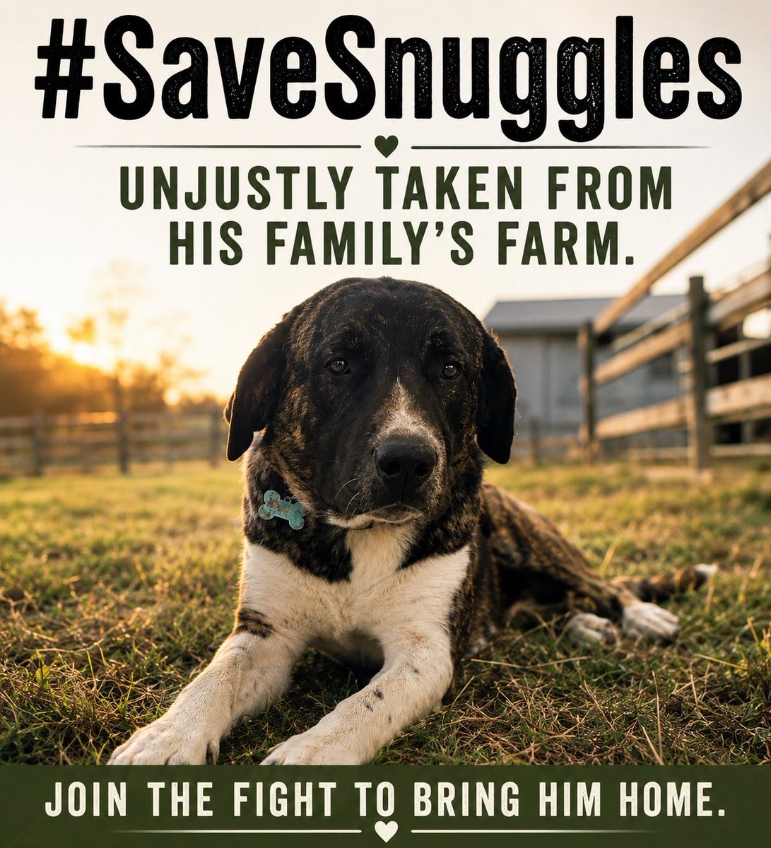 onesmallvoice's tweet photo. #FreeSnugglesNow https://t.co/Wu6yuW3mm5