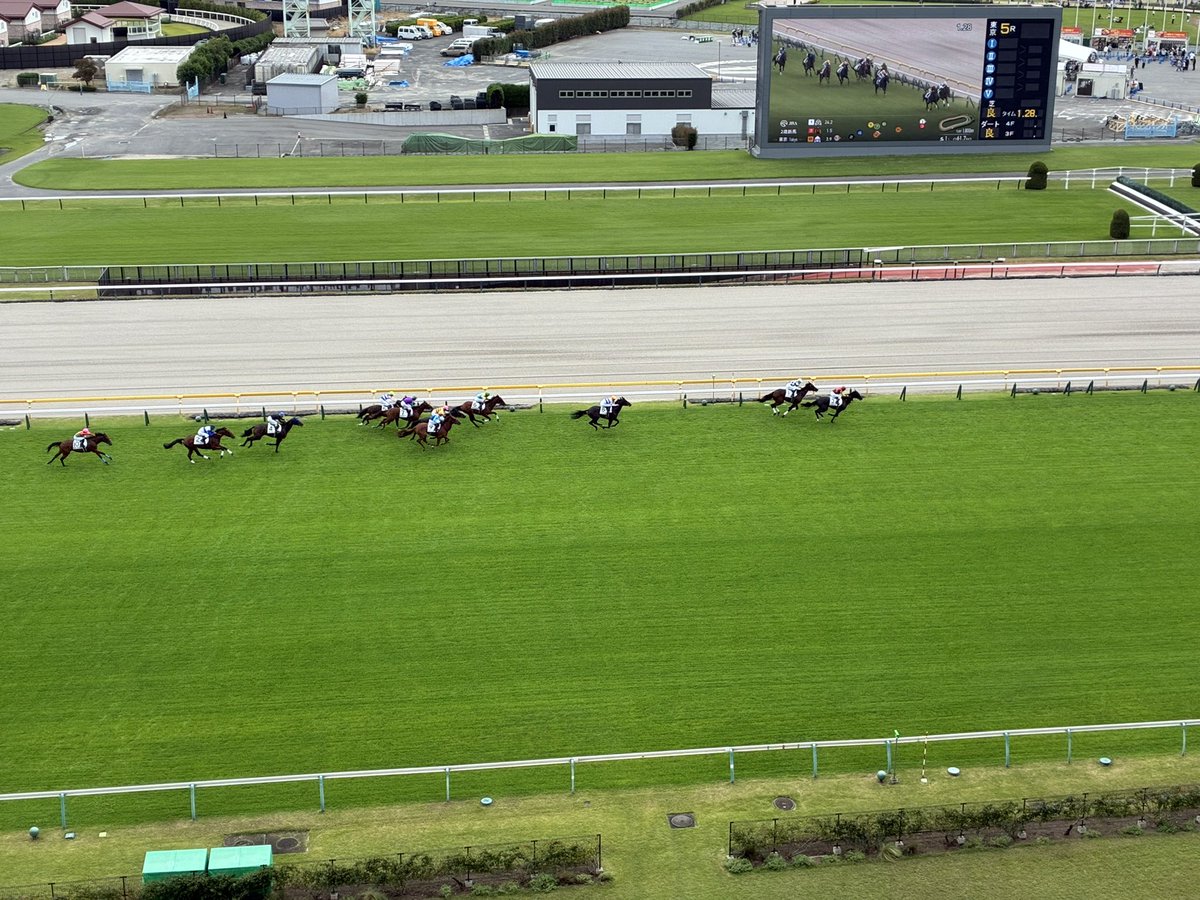 knuckle988's tweet photo. 府中開幕したので
リナーテの仔観にきました。
やっぱ東京競馬場は
テンション上がりますね。

最上階からだと
スマホカメラじゃ🐎小さい‥。

京都ではゴールデンレシオも
マジュリスも頑張ってたし。

タンテドヴィーヴルも
頑張って👍 https://t.co/rfy3ywGjDZ