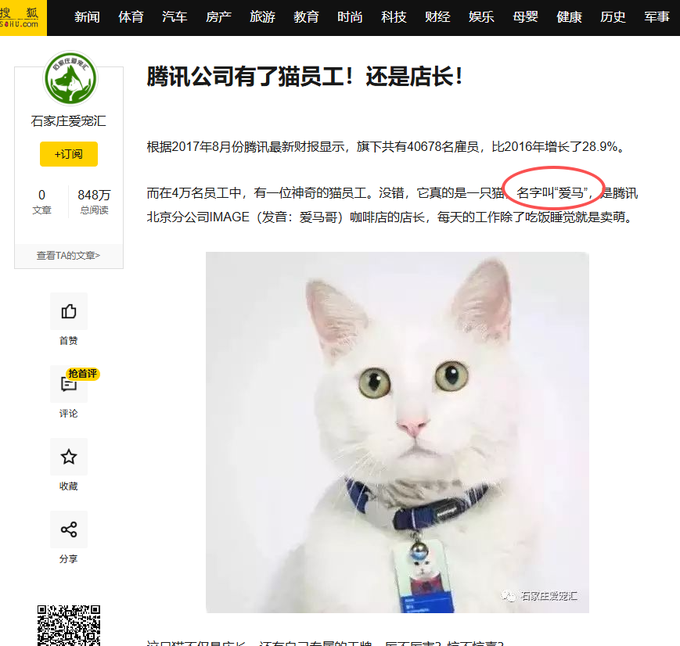 samr33n_'s tweet photo. 腾讯的第一只猫员工 
在BNB CHAIN中CAT SZN季发射 
全分红腾讯股票
https://t.co/3EGwDGgRVD
https://t.co/0I7LL2pDl7 https://t.co/8jp6iq4qut